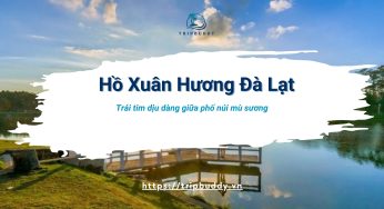 Hồ Xuân Hương Đà Lạt – Trái tim dịu dàng giữa phố núi mù sương