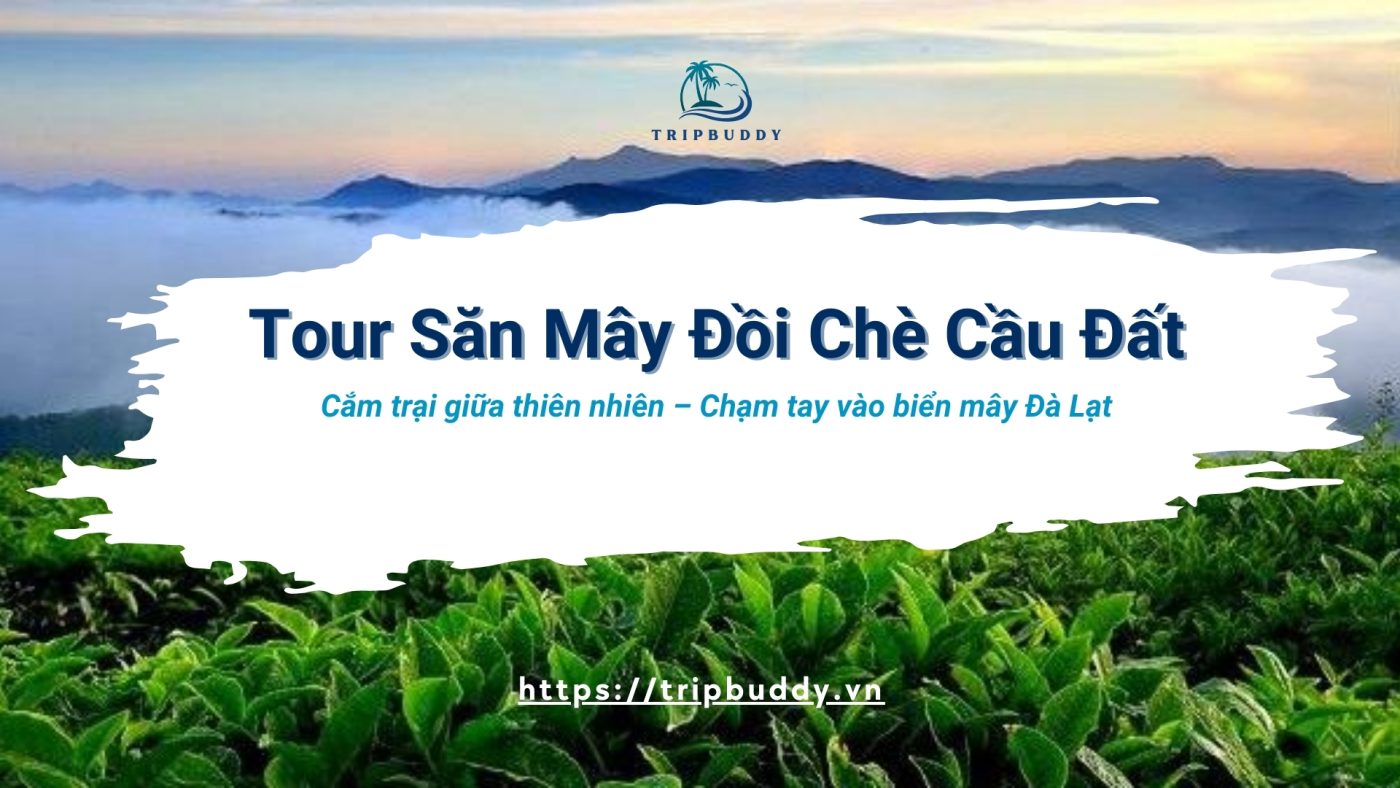 Đồi Chè Cầu Đất