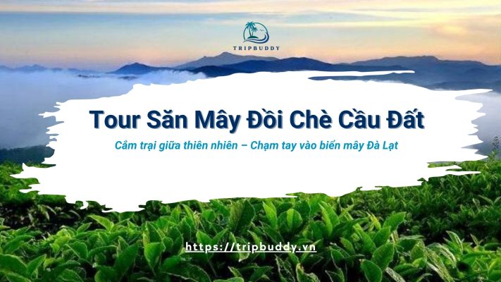 Đồi Chè Cầu Đất