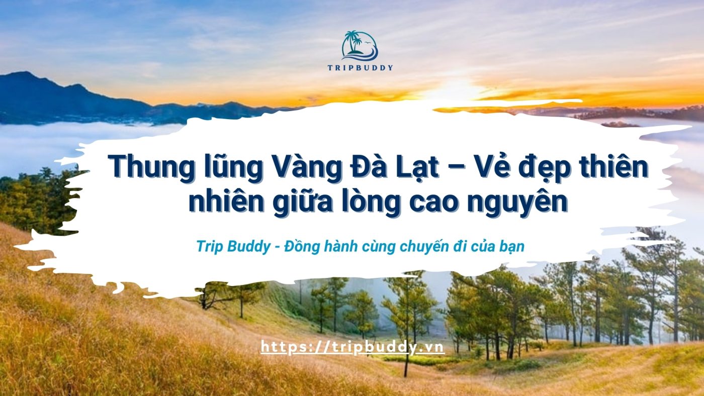 Thung lũng vàng Đà Lạt