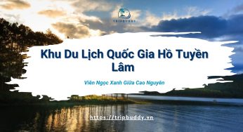 Viên ngọc xanh giữa cao nguyên – Cắm trại tại khu du lịch quốc gia hồ Tuyền Lâm