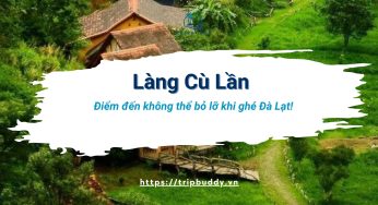 Làng Cù Lần – Hành trình lạc vào xứ sở cổ tích giữa rừng thông Đà Lạt
