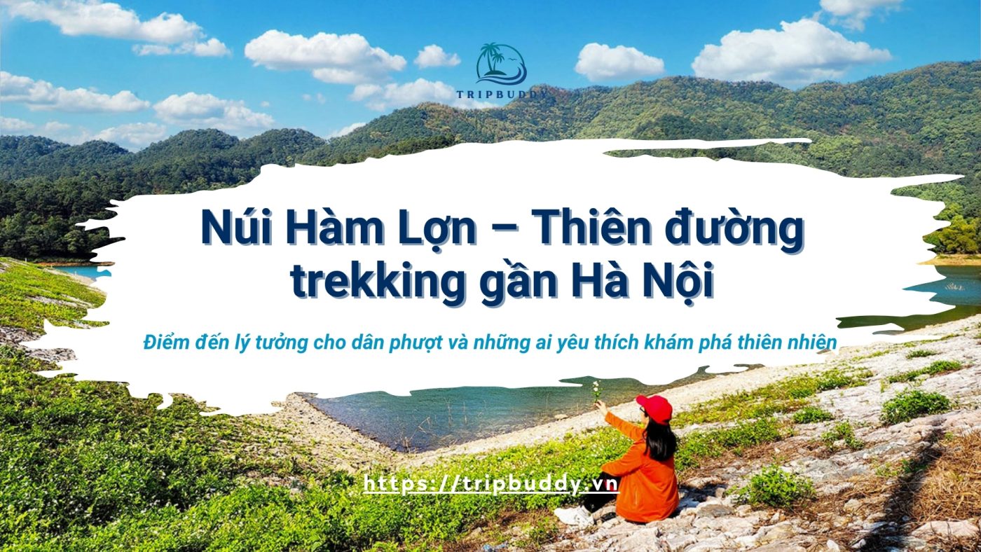 Núi Hàm Lợn