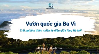 Cắm trại qua đêm vườn quốc gia Ba Vì: Trải nghiệm thiên nhiên kỳ diệu giữa lòng Hà Nội