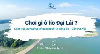 Chơi gì ở hồ Đại Lải? Gợi ý hoạt động thú vị để bạn vui quên lối về