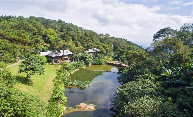Cắm trại qua đêm vườn quốc gia Ba Vì giữa rừng thông xanh mát