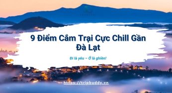 Tổng hợp các địa điểm du lịch Đà Lạt cho tín đồ thích cắm trại và sống ảo