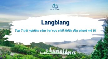 Khu du lịch Langbiang có gì? Top 7 trải nghiệm cắm trại cực chill dân phượt mê tít