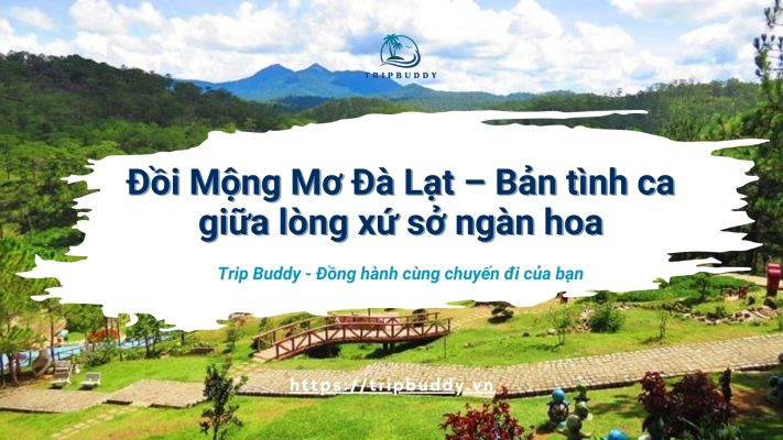 Đồi Mộng Mơ