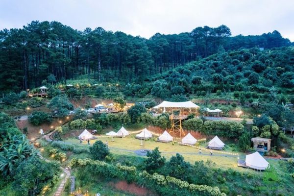 Cắm trại qua đêm tại đồi chè Cầu Đất giữa không gian thiên nhiên