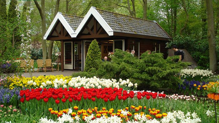 Khuôn viên đồi Mộng Mơ với thảm cỏ và cây xanh trong buổi chiều nắng nhẹ
