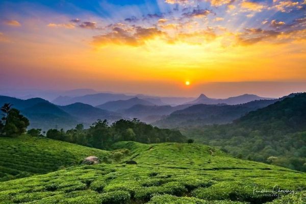 Mặt trời mọc xuyên qua màn sương trên đồi chè Cầu Đất