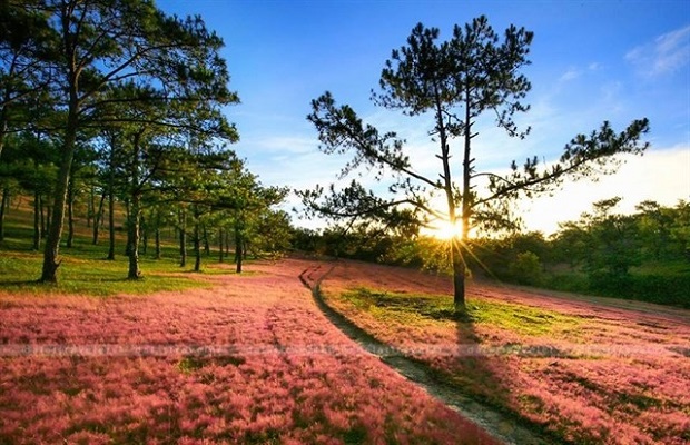 Cảnh quan xanh mát và hồ nước yên bình tại Thung Lũng Vàng, Đà Lạt
