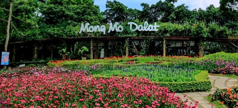 Vườn hoa đầy màu sắc với tiểu cảnh trái tim tại Đồi Mộng Mơ Đà Lạt.