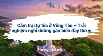 Cắm trại tự túc ở Vũng Tàu – Trải nghiệm nghỉ dưỡng gần biển đầy thú vị