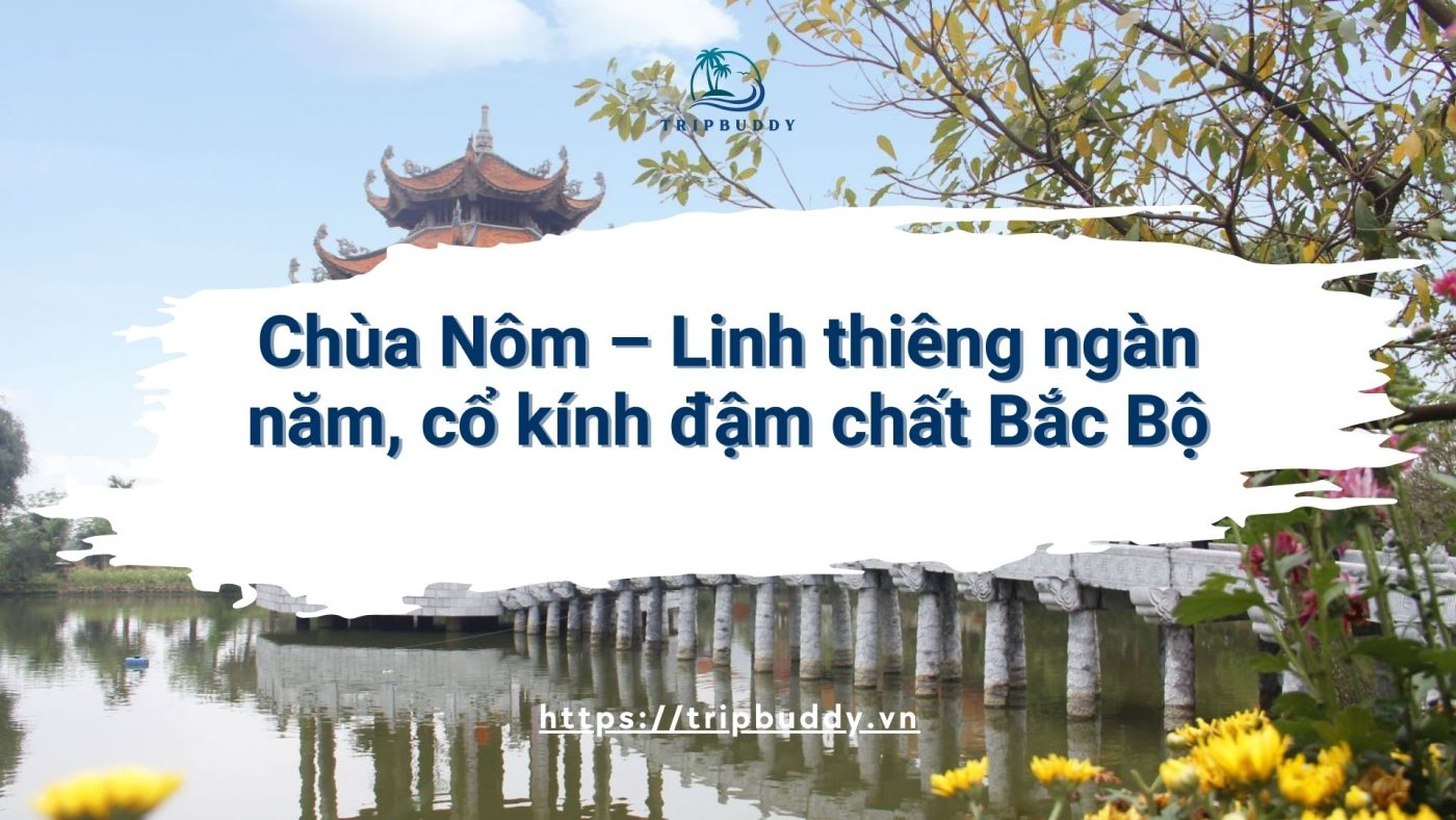 ảnh bìa chùa nôm