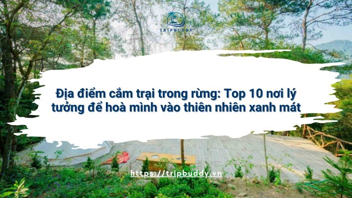 Địa điểm cắm trại trong rừng