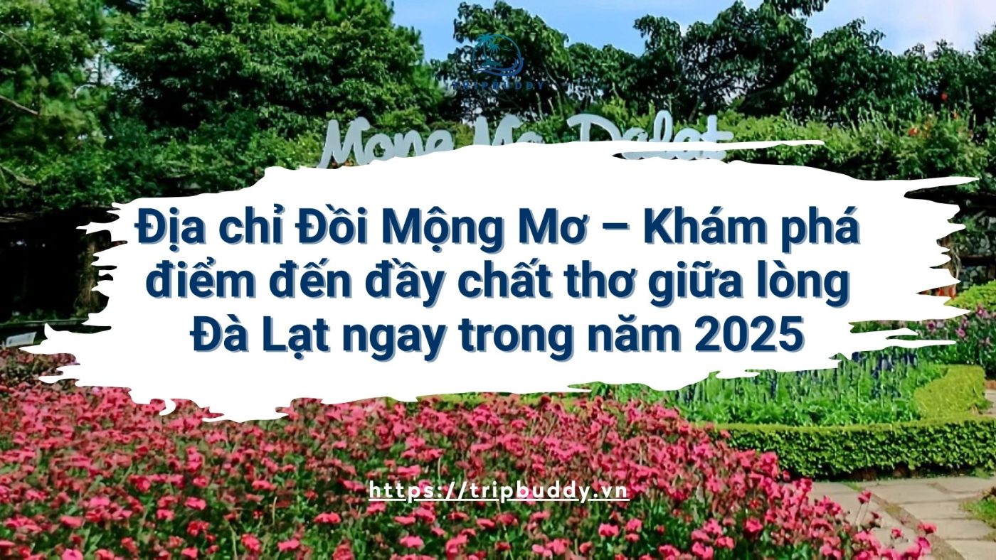 Địa chỉ đồi Mộng Mơ tại Đà Lạt siêu đẹp