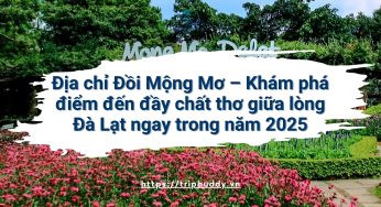 Địa chỉ Đồi Mộng Mơ – Khám phá điểm đến đầy chất thơ giữa lòng Đà Lạt ngay trong năm 2025
