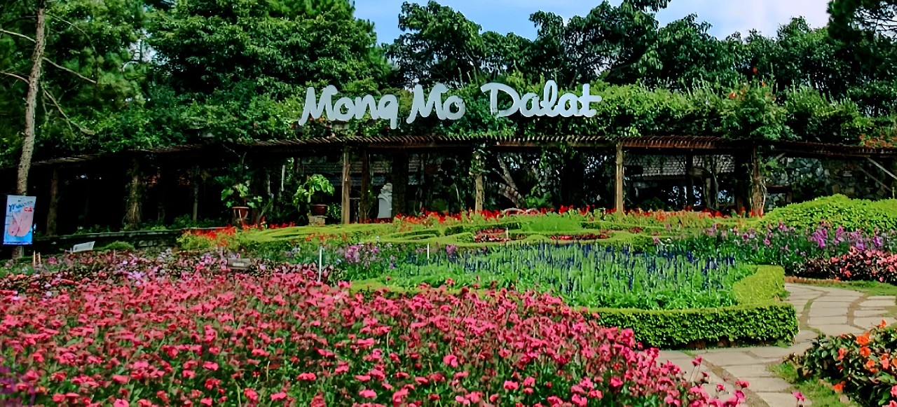 Địa chỉ đồi Mộng Mơ tại Đà Lạt siêu đẹp