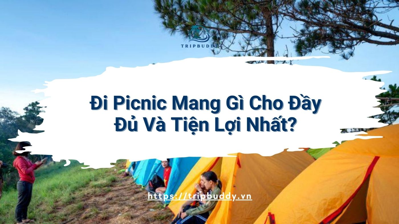 đi picnic mang gì