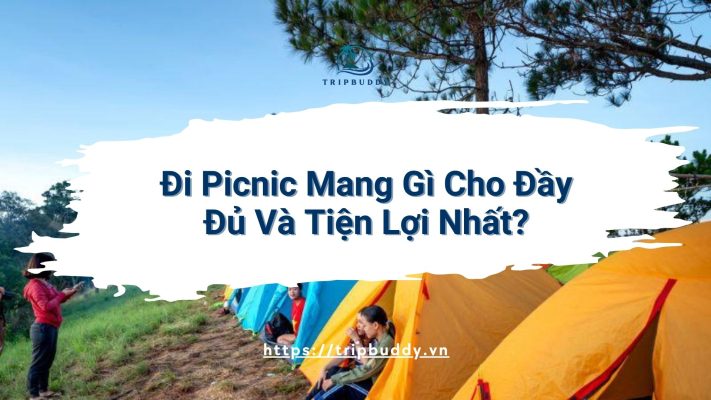đi picnic mang gì