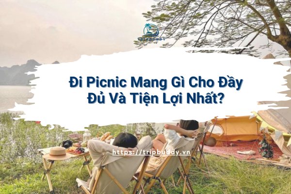 những món ăn khi picnic ngon